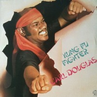 Kung Fu Fighter
