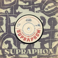 Stín Magnolií / Look Through My Window