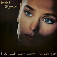 I Do Not Want What I Haven't Got