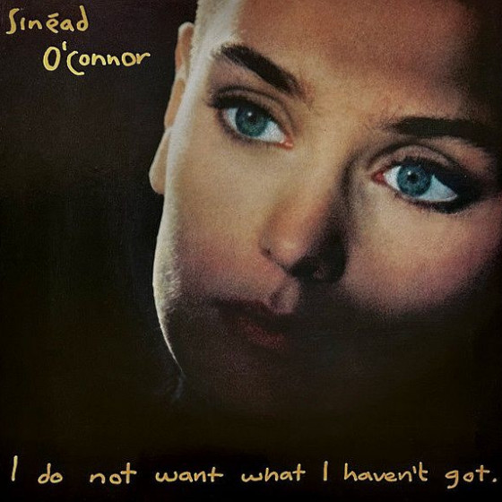 I Do Not Want What I Haven't Got