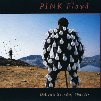 Delicate Sound Of Thunder 2CD