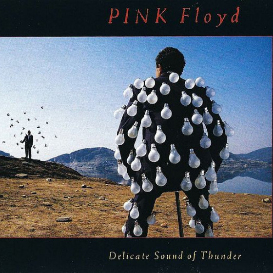 Delicate Sound Of Thunder 2CD