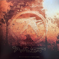 Selected Ambient Works Volume II 4LP