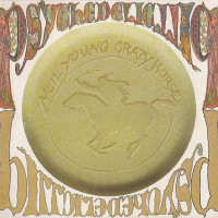 Psychedelic Pill 2CD