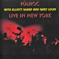 Live In New York