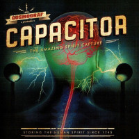Capacitor