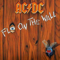 Fly On The Wall