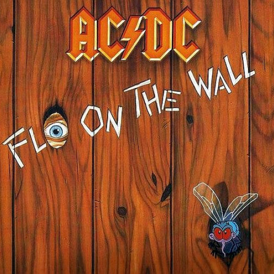 Fly On The Wall
