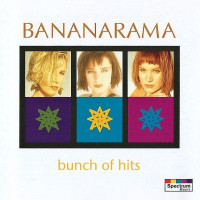 Bunch Of Hits